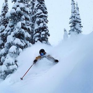 Meet your Posher, Jordan